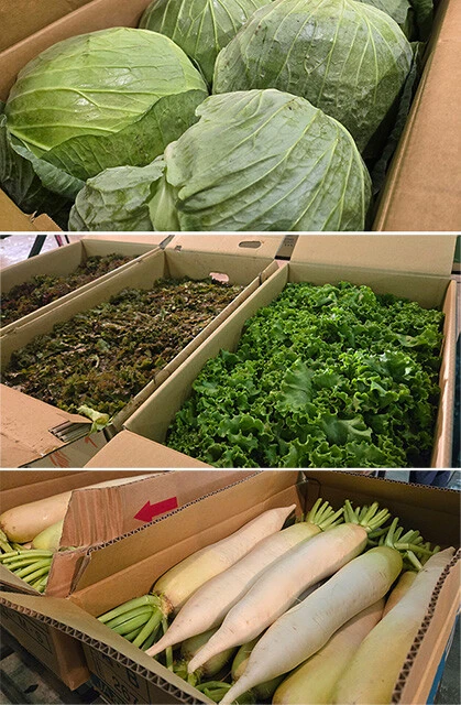 水害列島・ニッポンで未曽有の"秋の野菜クライシス"が発生!